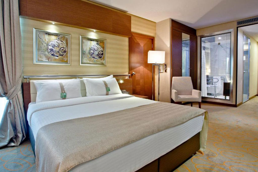 Holiday Inn Ankara-Kavaklidere, an IHG Hotel Ankara - Standard King Room - Disability Access