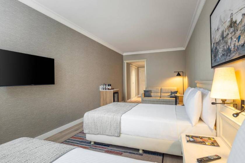 Elite World Comfy Istanbul Taksim - Trendy Triple - 1 King + 1 Single