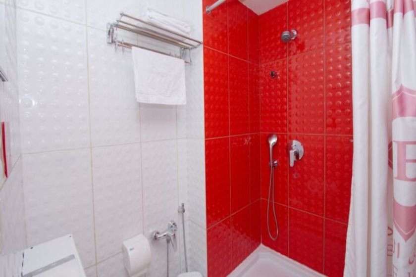 هتل الیزه شیراز - اتاق دوتخته جدا از هم ویو کوه