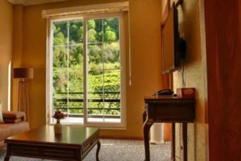 هتل رسپینا لاهیجان - سوئیت یک خوابه جونیور سه نفره رو به محوطه