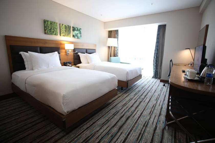 Hilton Garden Inn Ankara Gimat - Twin Room with City View