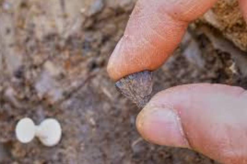 کشف شی ۴۸۰ هزارساله در انگلیس