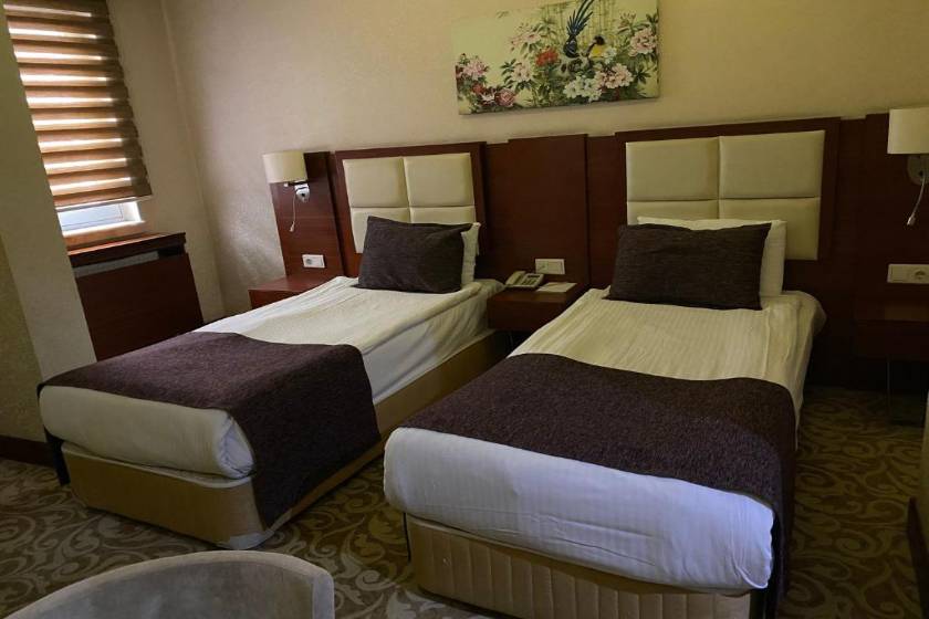 Asrin Business Hotel Kızılay - Standard Twin Room
