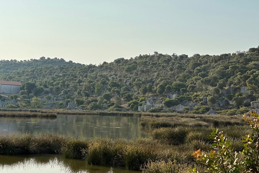 بهشت پرندگان دمره