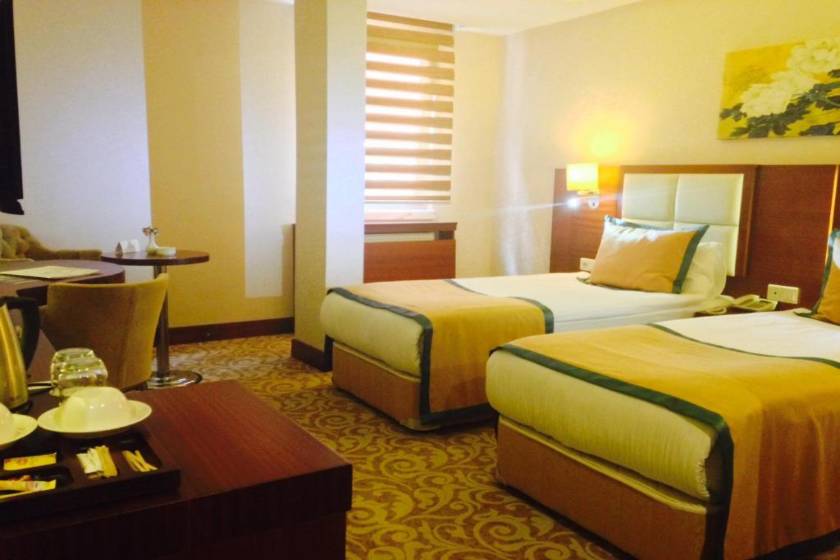 Asrin Business Hotel Kızılay - Standard Twin Room
