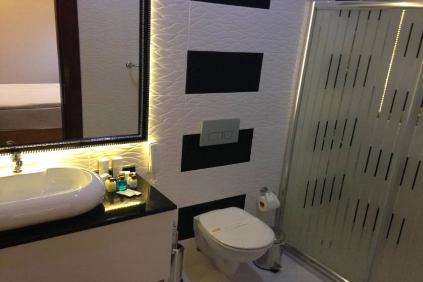 Asrin Business Hotel Kızılay - Double Room