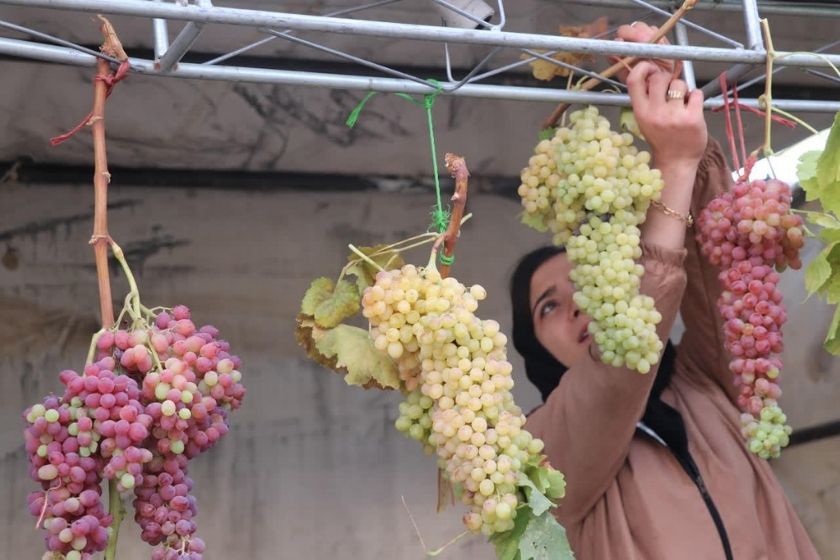 «جشنواره انگور هزاوه»؛ فرصتی برای معرفی یک روستای تاریخی به گردشگران