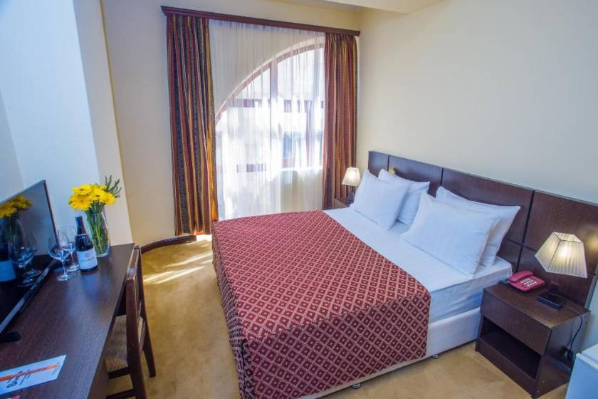 Ani Central Inn Hotel Yerevan - Standard Single Room