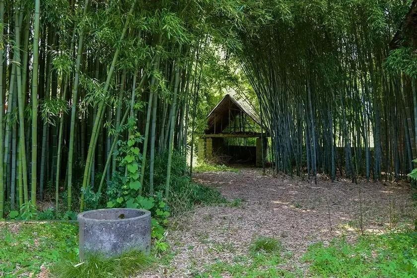 ثبت ملی روستای لیالستان گیلان به عنوان «روستای ملی بامبوبافی ایران» 
