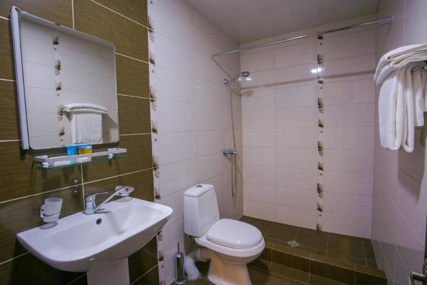 Ani Central Inn Hotel Yerevan - Standard Single Room