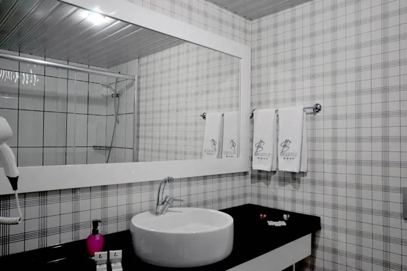 Business Park Hotel Ankara - Standard Double or Twin Room