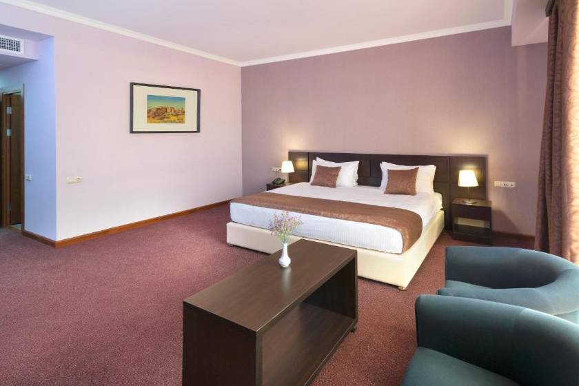 Ani Central Inn Hotel Yerevan - Superior Single Room