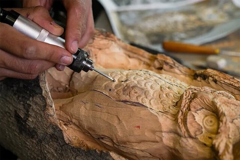 درختان خشکیده، جاذبه های هنری و گردشگری جدید در اهواز