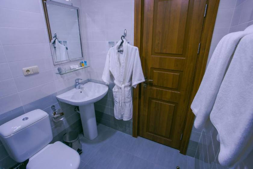 Ani Central Inn Hotel Yerevan - Superior Single Room